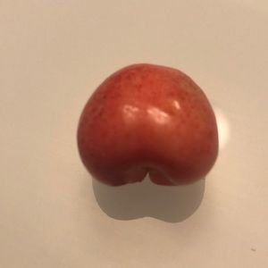 Meet your Posher, Sipan